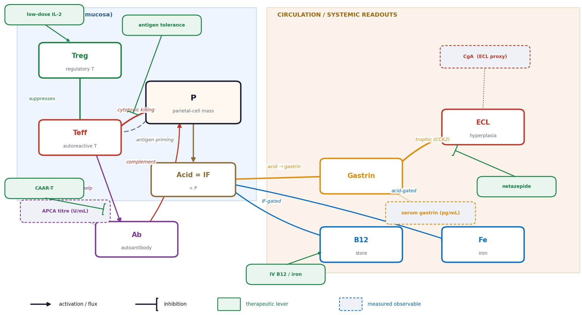 AIG‑VHT model schematic