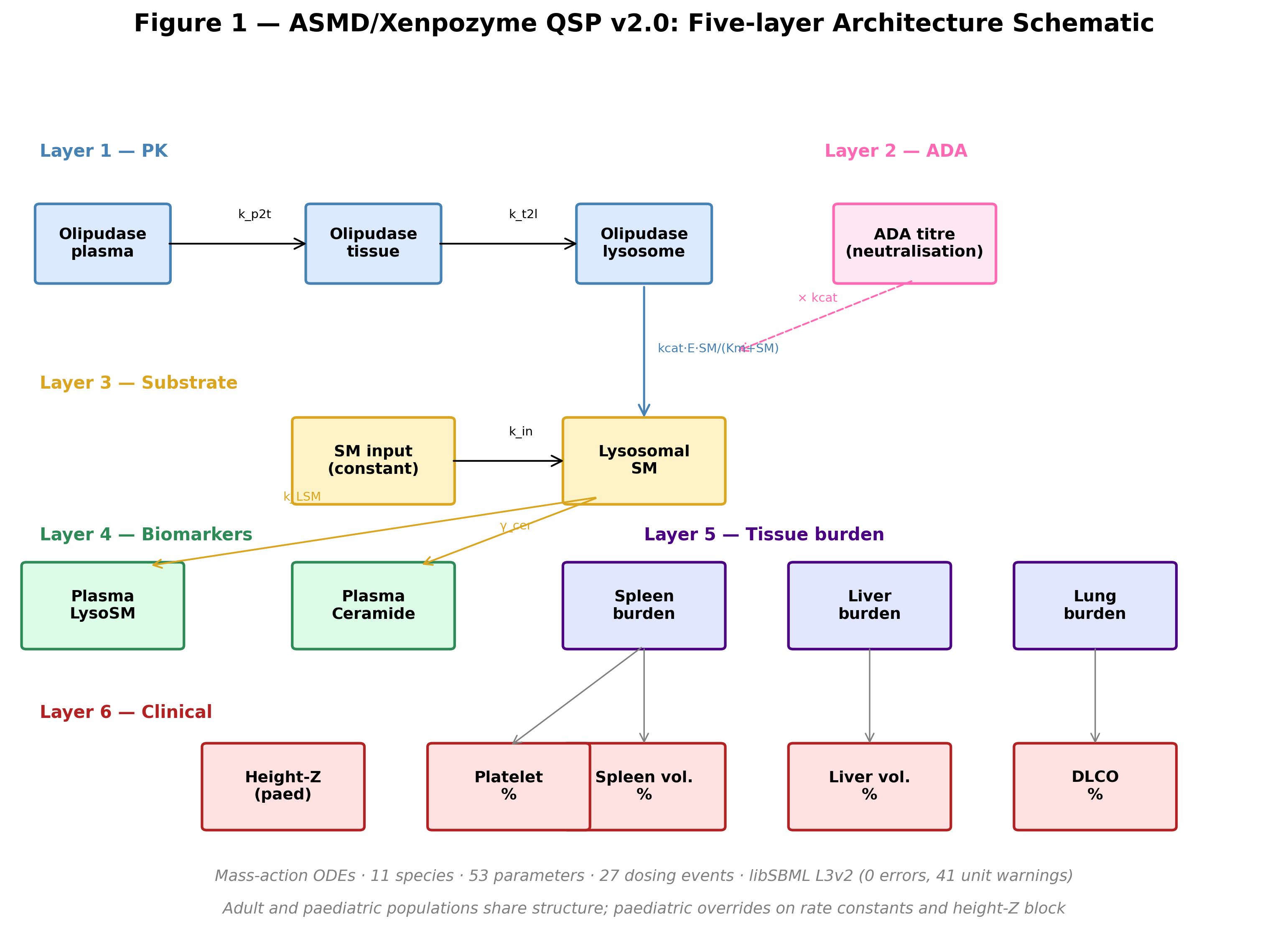 ASMD QSP architecture
